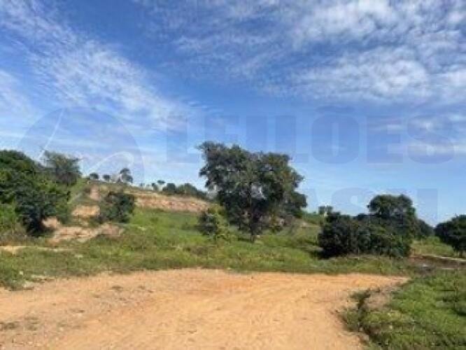 Imagem leilão