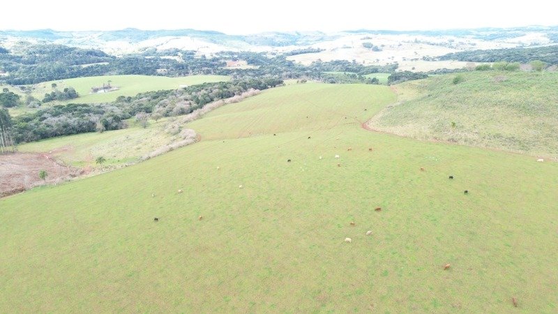 [4.151] [ 5.313] [727] PROPRIEDADES RURAIS 18 ALQUEIRES.. em Anita Garibaldi/SC - foto 4