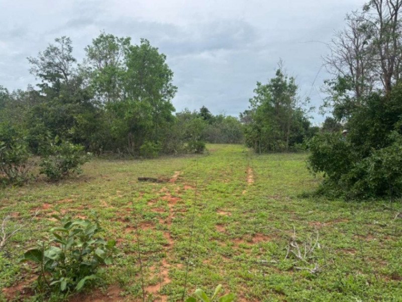Fazenda, Rural, Rural em Bom Jardim de Goiás/GO