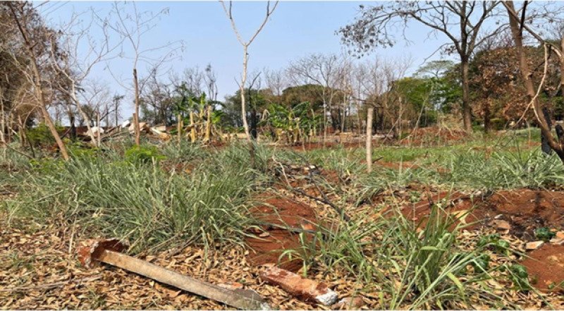 LOTE GLOBAL em Sarandi/PR - foto 20