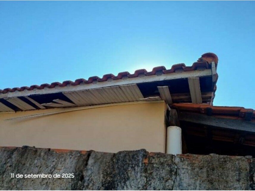 Imagem leilão