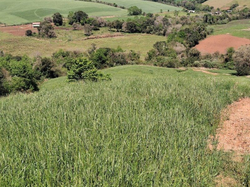 FRAÇÃO DE TERRAS COM A SUPERFÍCIE DE 27.000,00M², SITUA.. em Jaboticaba/RS - foto 6