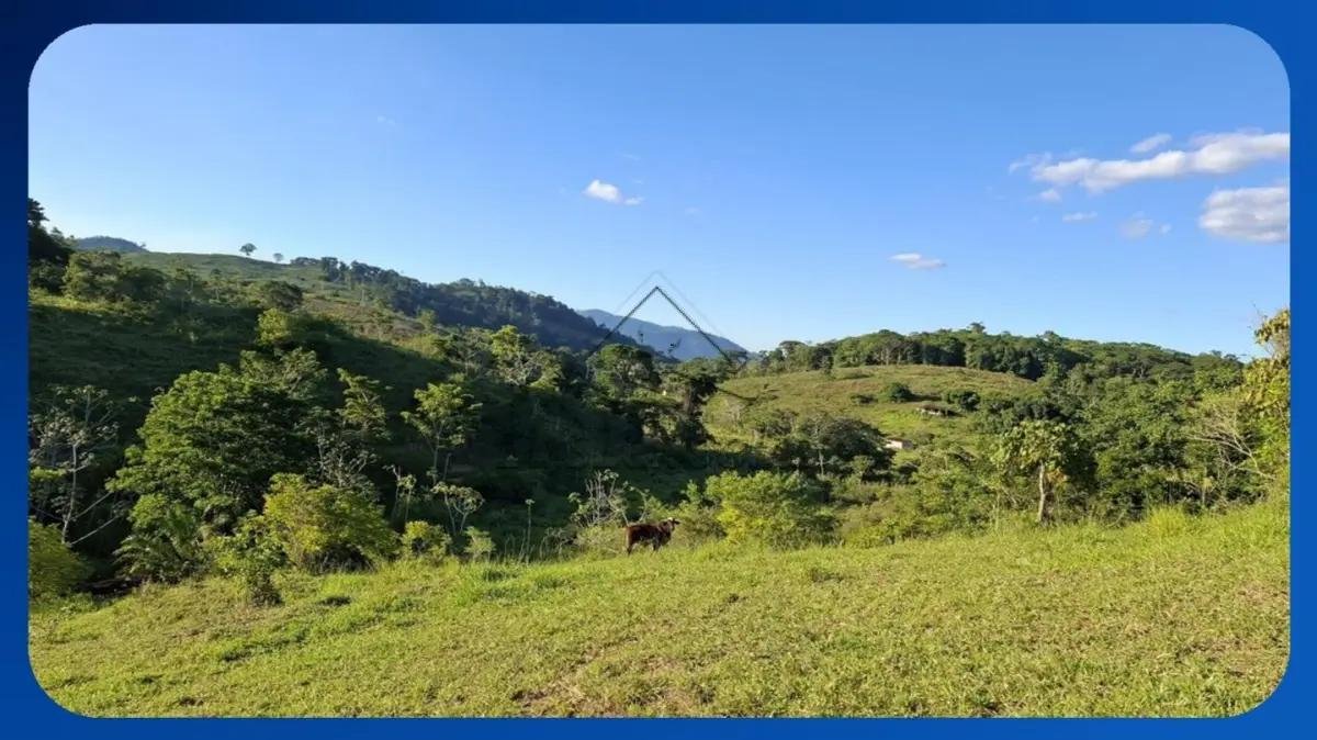 GLEBA DE TERRAS - Conjunto Belo Horizonte, Zona da Palmeira, Aiquara/BA, Área de 201,00 he em Aiquara/BA