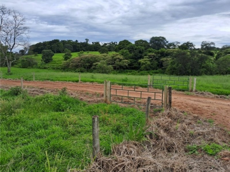 Terreno rural com ou sem benfeitorias em Jandaia/GO - foto 2