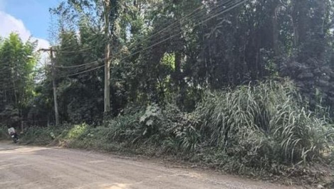 Imagem leilão
