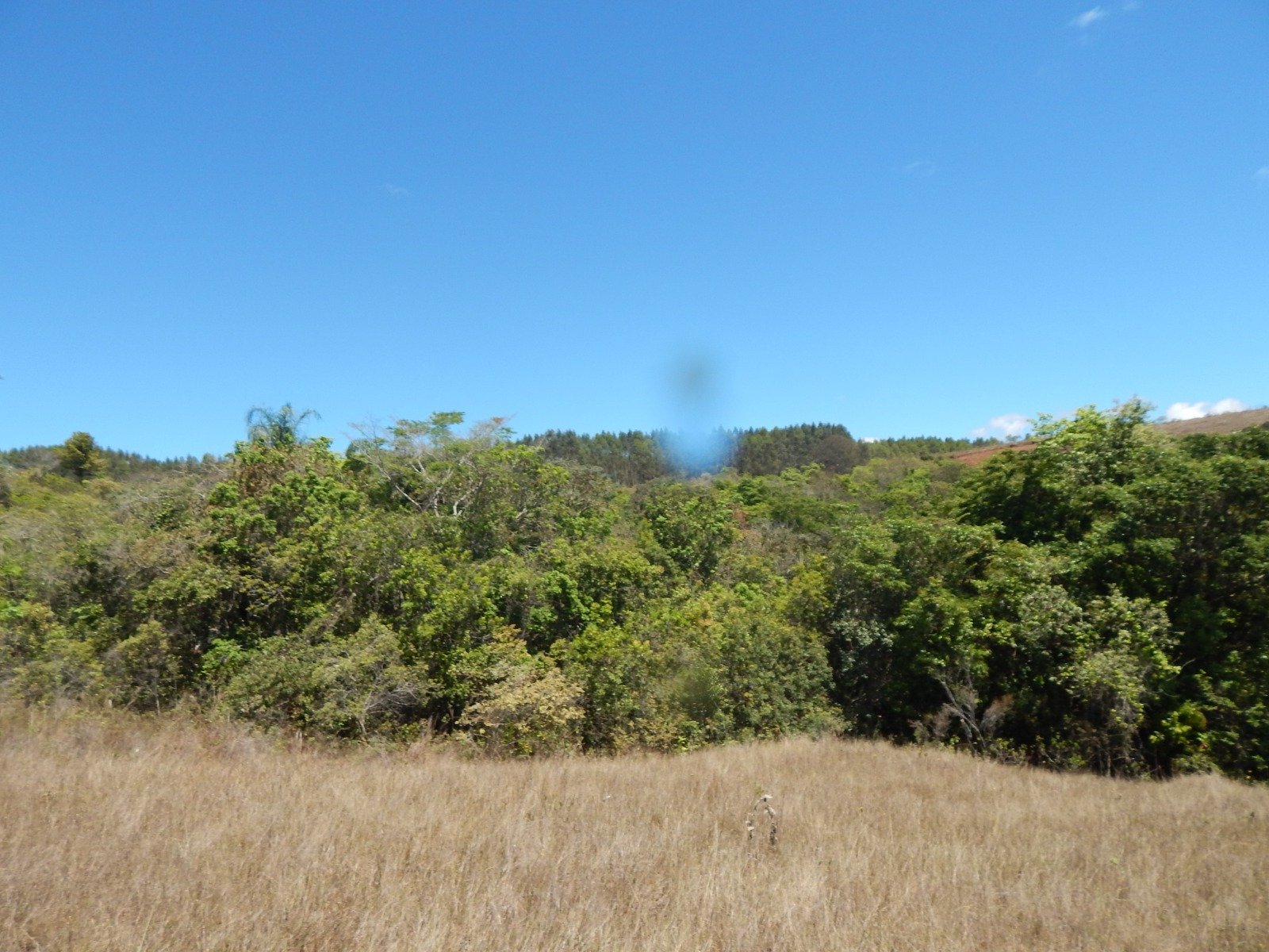 FAZENDA CAMPINAS APROXIMADAMENTE 90HA EM CRUZÍLIA /MG em Cruzília/MG - foto 17