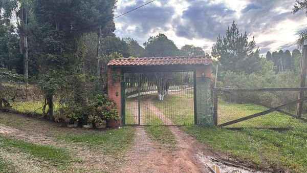 Imagem leilão