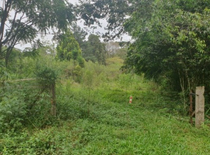 Terreno em Três Barras/SC