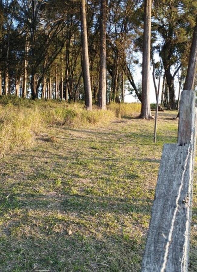 Imagem leilão