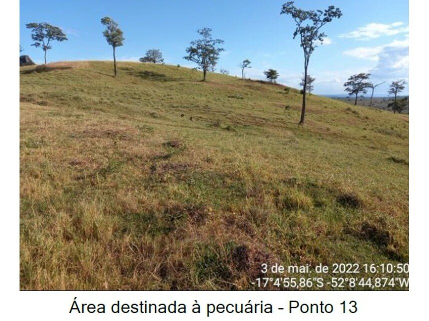 Imagem leilão