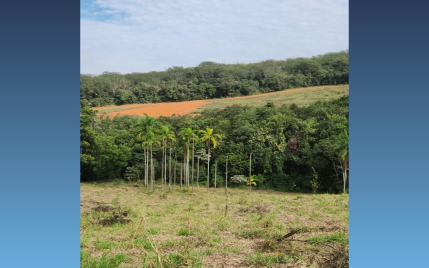 Terreno rural de 24.200m² — Boa Esperança/MG em Boa Esperança/MG - foto 5