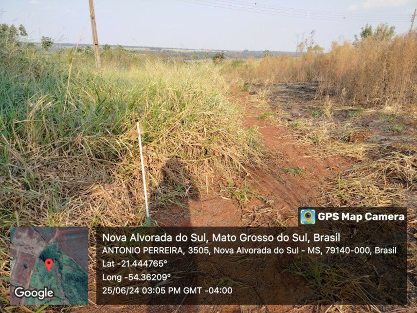 Imagem leilão