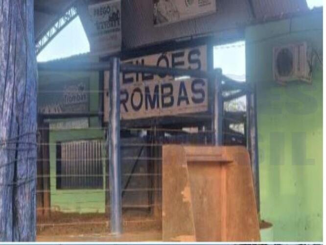 Imagem leilão