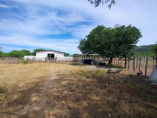 
                        Imóvel Rural, 76ha, Sertânia/PE                     em Sertânia/PE