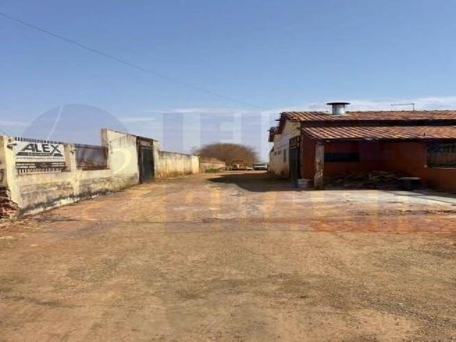 Imagem leilão