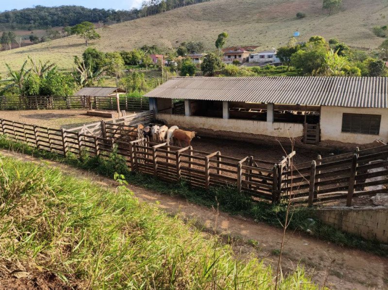 FAZENDA HAVAÍ COM ÁREA DE 33,7590 HA, COM GALPÃO E ESCR.. em Cristiano Otoni/MG - foto 11