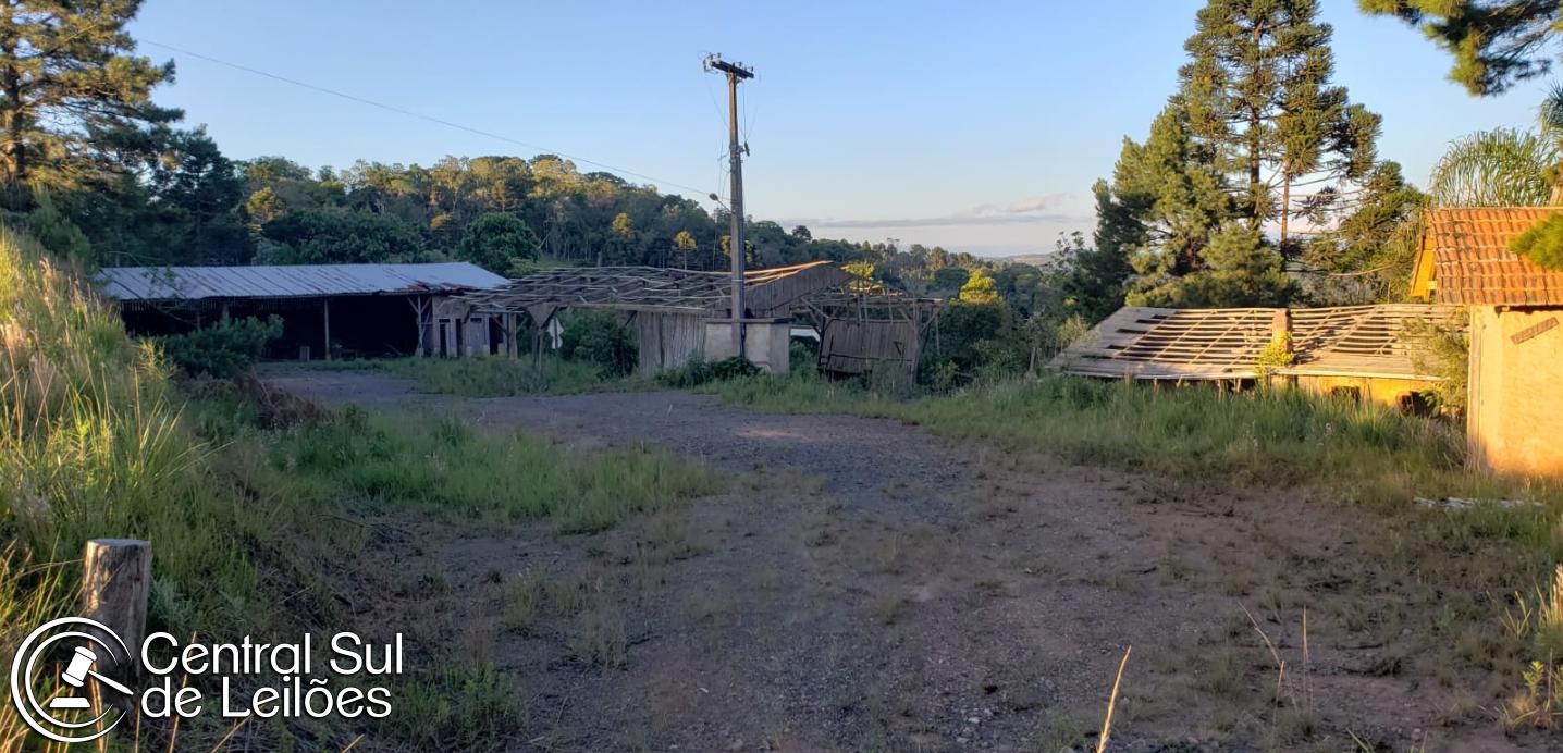 Imagem leilão