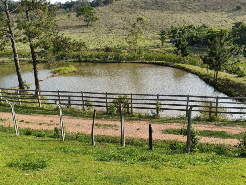 FAZENDA HAVAÍ COM ÁREA DE 33,7590 HA, COM GALPÃO E ESCR.. em Cristiano Otoni/MG - foto 6