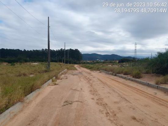 Imagem leilão