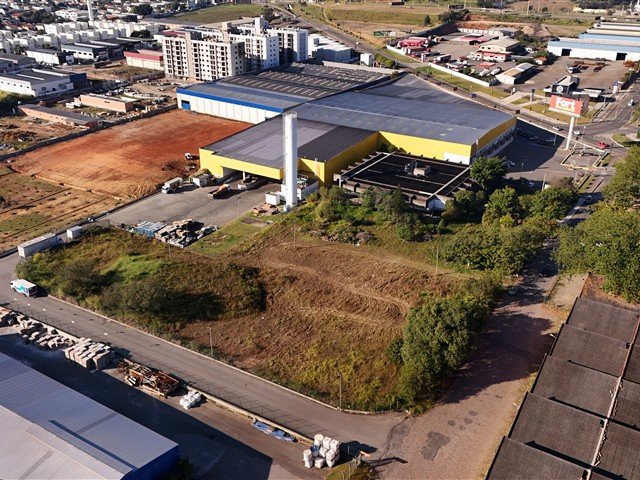 Imagem leilão