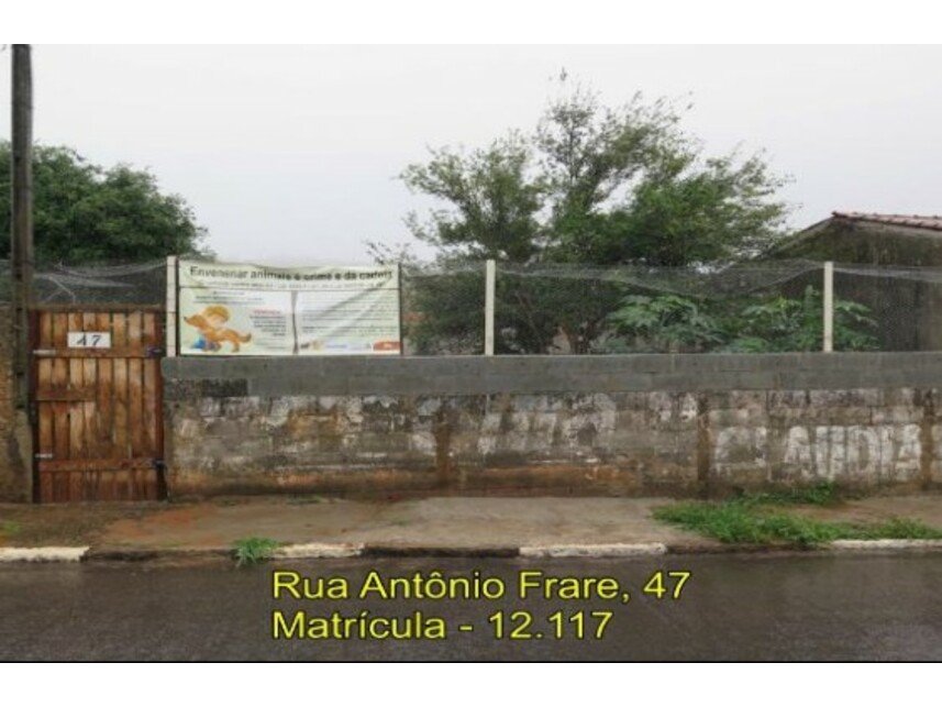Imagem leilão