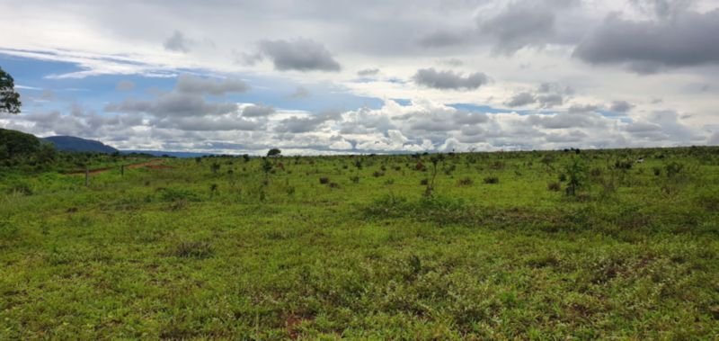 IMÓVEL RURAL COM ÁREA DE 1.899,2700HAS, "FAZENDA VALENT.. em Rosário Oeste/MT - foto 6