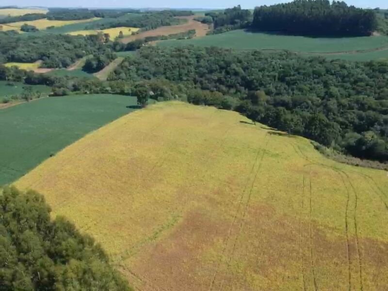 OS DIREITOS E AÇÕES DA FRAÇÃO IDEAL DE 8.410,71m² SOBRE.. em Áurea/RS - foto 2