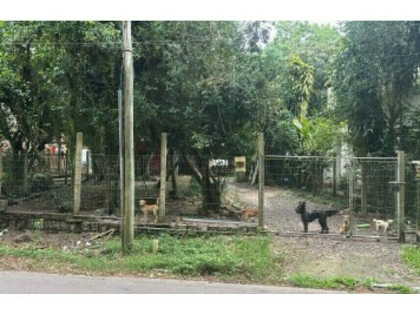 Imagem leilão