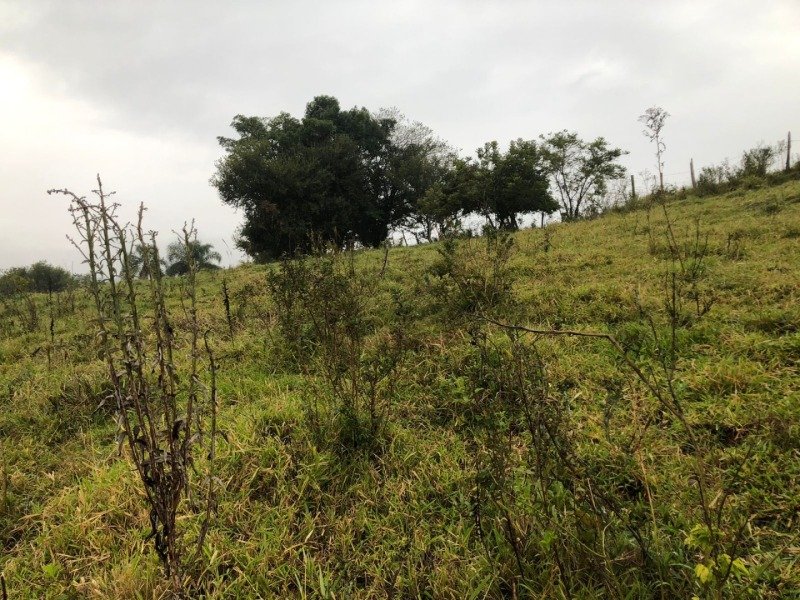 A FRAÇÃO IDEAL DE 50% (128.750,00M²) SOBRE O LOTE RURAL.. em Erval Grande/RS - foto 18