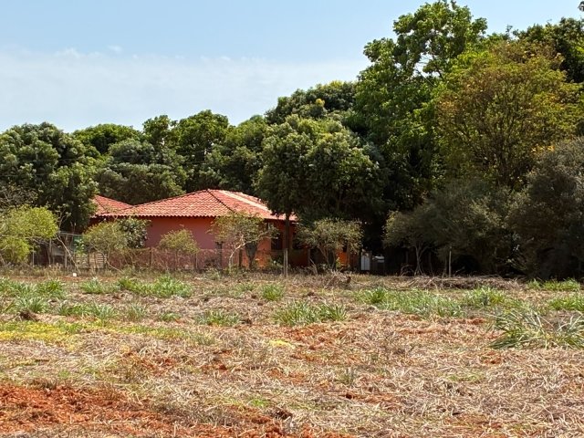 
                        1 (uma) Chacará, 5,0000 ha, 2 (dois) lote de terreno com  450,00 em Querência/MT - foto 16