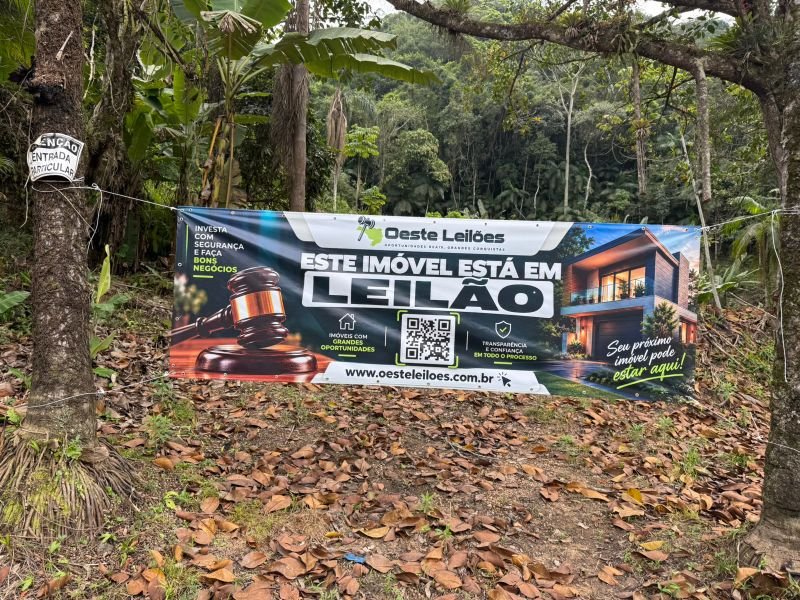 Imagem leilão