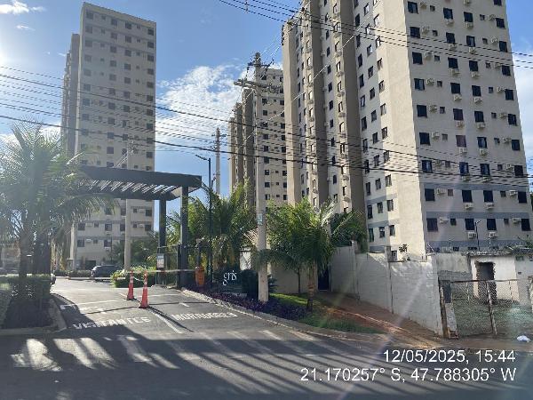 Imagem leilão