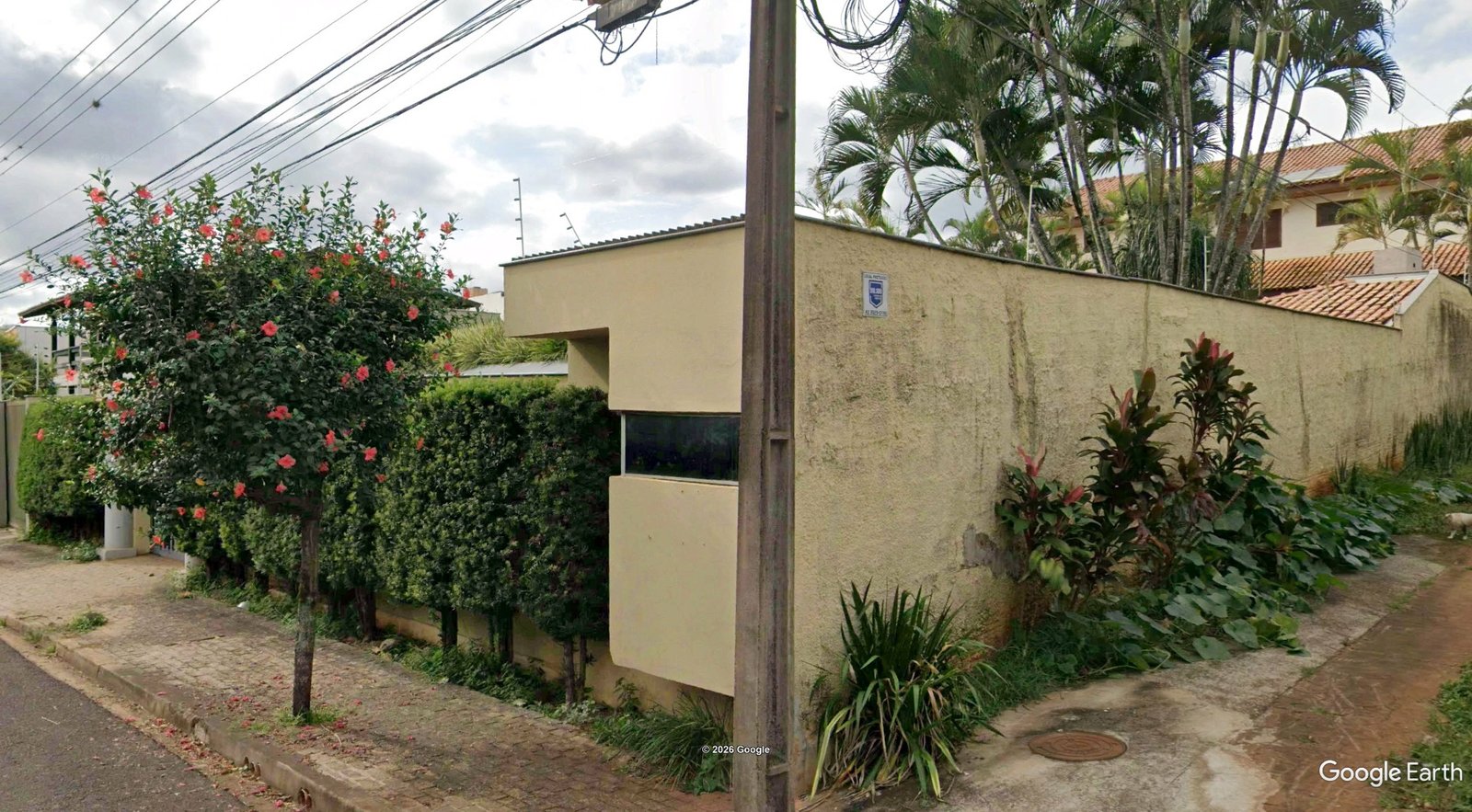 Imagem leilão