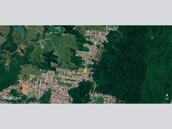 Imagem leilão