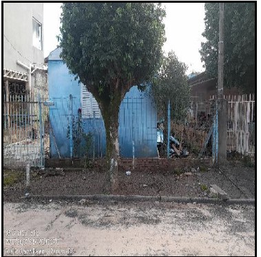 Imagem leilão