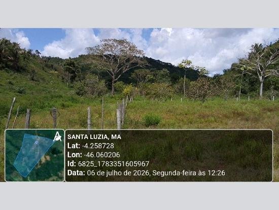 Imagem leilão
