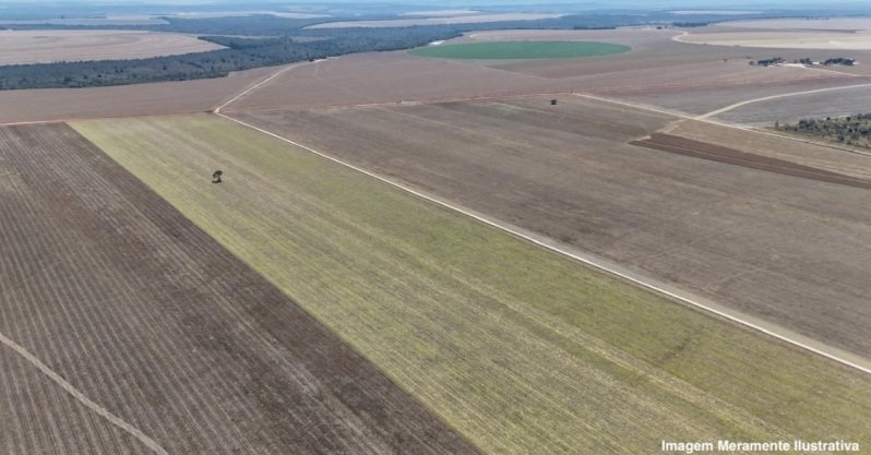 IMÓVEL RURAL - FAZENDA PEQUI localizada no município de Bonfinópolis/MG em Bonfinópolis de Minas/MG - foto 3