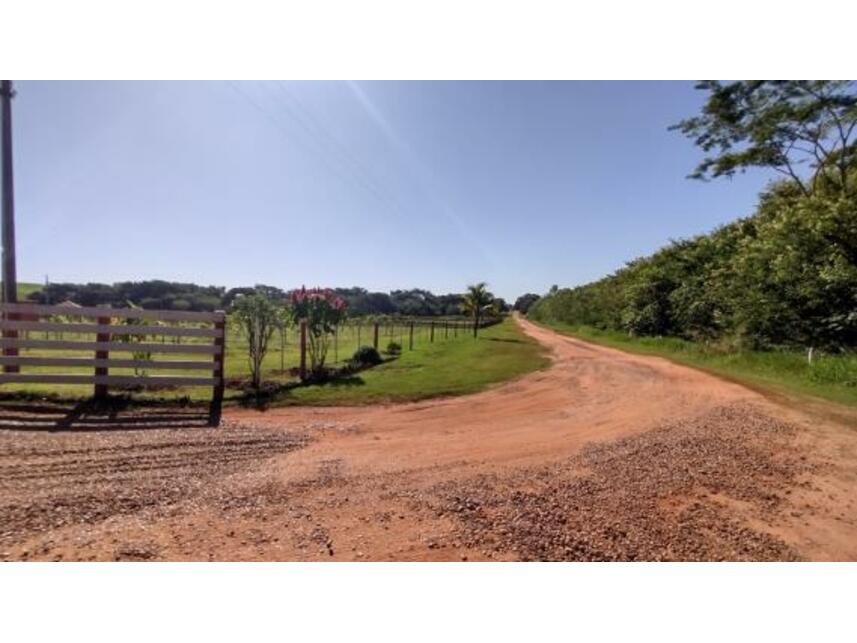 Imagem leilão