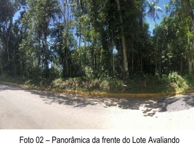LOTE URBANO de 600m² localizado no Residencial ALDEIAS .. em Ubatuba/SP - foto 6
