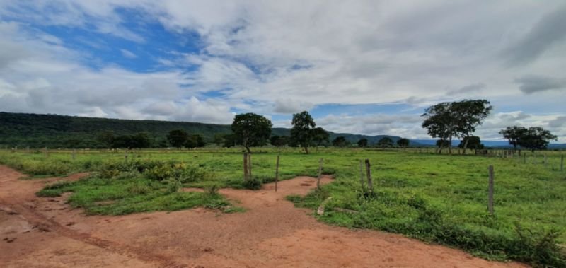 IMÓVEL RURAL COM ÁREA DE 1.899,2700HAS, "FAZENDA VALENT.. em Rosário Oeste/MT - foto 20
