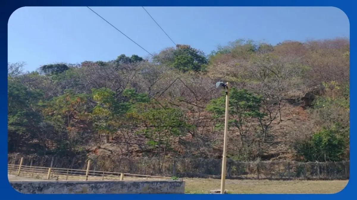 TERRENO - Área 5, Rua do Frigorífico, Altinópolis, Governador Valadares/MG, Área de 20.000 em Governador Valadares/MG