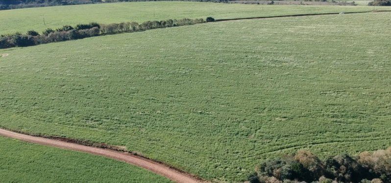A FRAÇÃO IDEAL DE 38.535,98m² SOBRE UMA PARTE DE TERRAS.. em Pontão/RS - foto 3