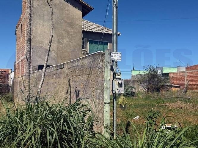 Imagem leilão