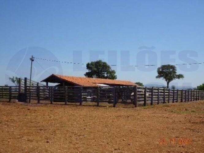 Imagem leilão