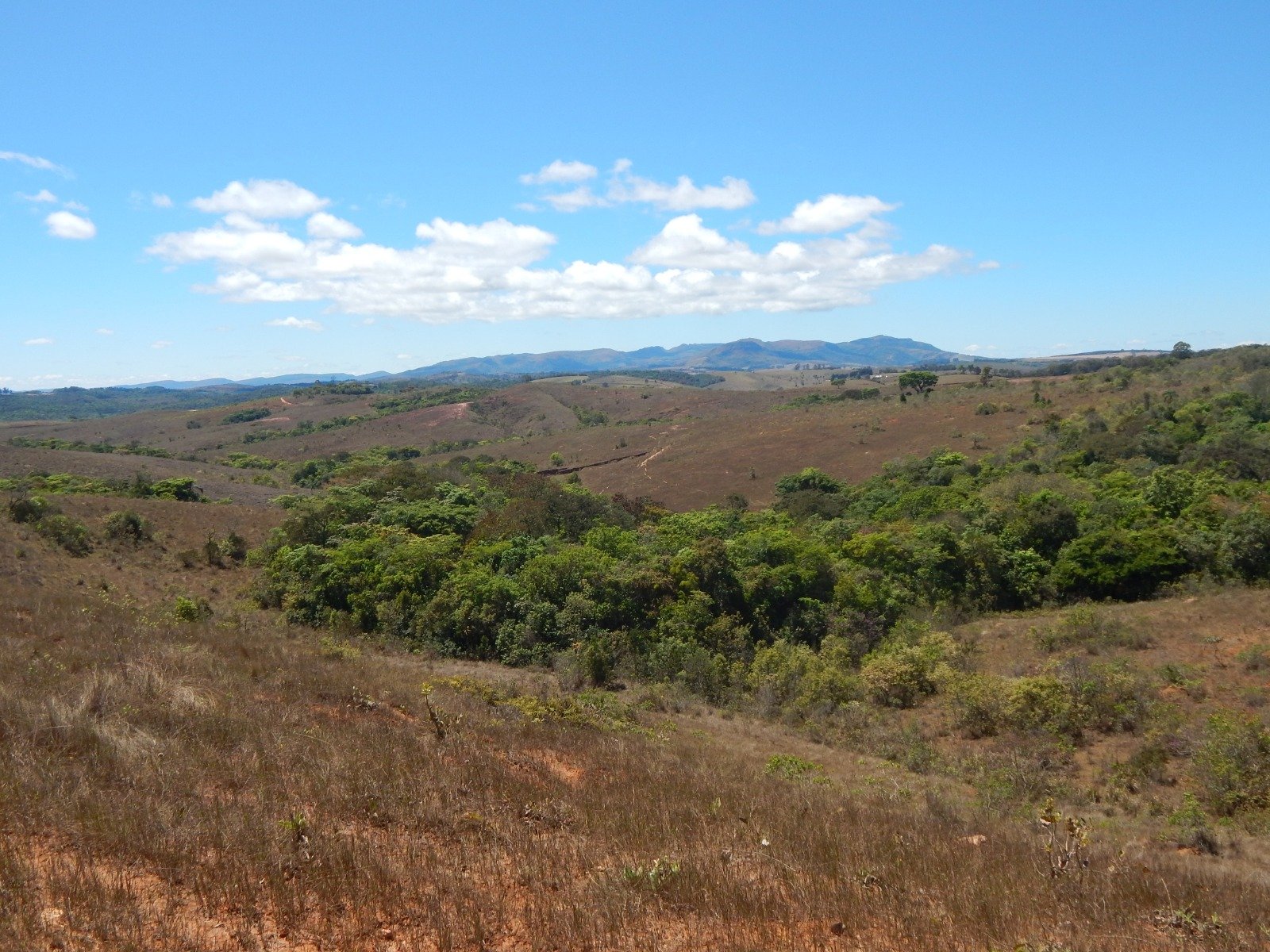 FAZENDA CAMPINAS APROXIMADAMENTE 90HA EM CRUZÍLIA /MG em Cruzília/MG - foto 10