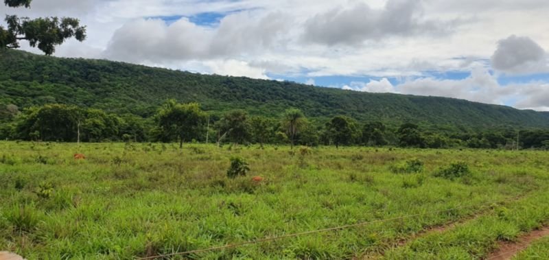 IMÓVEL RURAL COM ÁREA DE 1.899,2700HAS, "FAZENDA VALENT.. em Rosário Oeste/MT - foto 12