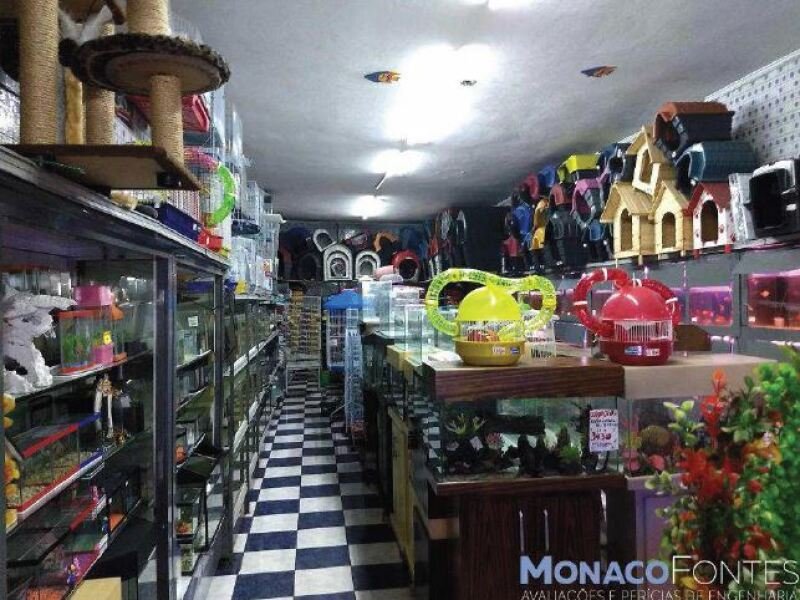 Imagem leilão