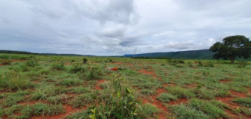 IMÓVEL RURAL COM ÁREA DE 1.899,2700HAS, "FAZENDA VALENT.. em Rosário Oeste/MT - foto 29