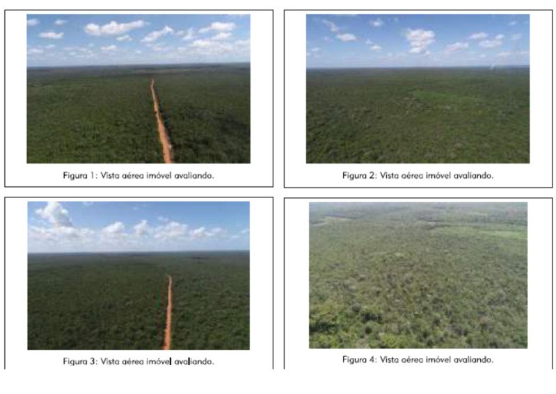 Uma Gleba de Terras com 3.619.80ha em Belágua/MA em Belágua/MA - foto 3
