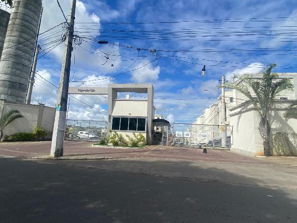 Imagem leilão